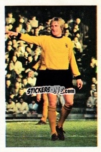 Sticker Derek Parkin - The Wonderful World of Soccer Stars 1972-1973
 n. 326 - FKS