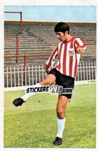 Sticker John Flynn - The Wonderful World of Soccer Stars 1972-1973
 - FKS