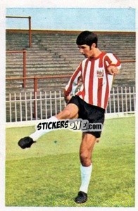 Sticker John Flynn - The Wonderful World of Soccer Stars 1972-1973
 n. 230 - FKS