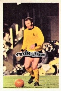 Sticker Mike Bailey - The Wonderful World of Soccer Stars 1972-1973
 n. 316 - FKS