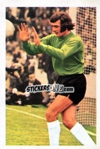 Cromo Pat Jennings - The Wonderful World of Soccer Stars 1972-1973
 - FKS