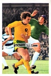 Sticker Peter Silvester - The Wonderful World of Soccer Stars 1972-1973
 - FKS