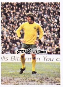 Cromo Phil Boyer - Football '75
 n. 244 - Top Sellers
