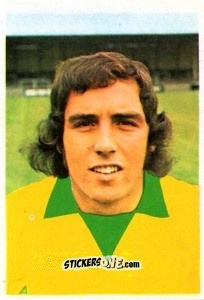Figurina Colin Sullivan - Soccer Stars 1975-1976
 n. 224 - FKS