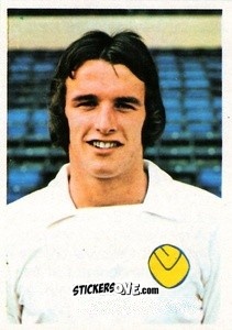 Sticker Frank Gray - Soccer Stars 1975-1976
 n. 117 - FKS