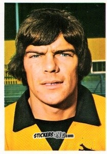 Sticker Frank Munro - Soccer Stars 1975-1976
 n. 302 - FKS