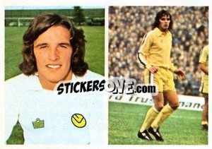 Sticker Frank Gray