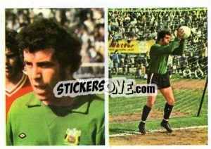Sticker Ray Cashley - Soccer Stars 1976-1977
 - FKS