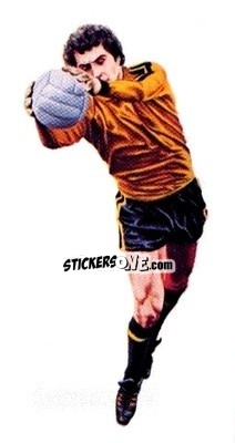 Sticker Peter Shilton - Soccer All Stars 1978
 n. 15 - GOLDEN WONDER
