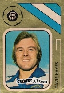 Sticker Davie Hayes - Soccer Stars 1978-1979 Golden Collection
 n. 383 - FKS