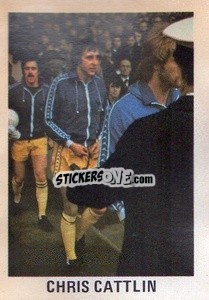 Sticker Chris Cattlin - Soccer Stars 1980
 n. 40 - FKS