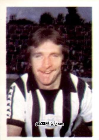 Sticker Alan Shoulder - Football 1980-1981
 n. 331 - Daily Star

