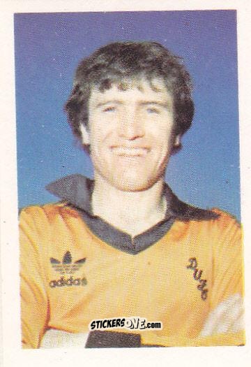 Figurina Eammon Bannon - Football 1980-1981
 n. 391 - Daily Star
