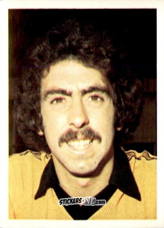 Figurina Geoff Palmer - Football 1980-1981
 n. 305 - Daily Star
