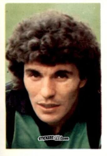 Figurina Petar Borota - Football 1980-1981
 n. 309 - Daily Star
