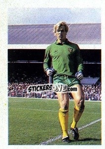 Cromo Chris Woods - Soccer Stars 1983-1984
 - FKS