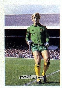 Sticker Chris Woods - Soccer Stars 1983-1984
 n. 143 - FKS