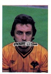 Sticker Peter Daniel - Soccer Stars 1983-1984
 - FKS