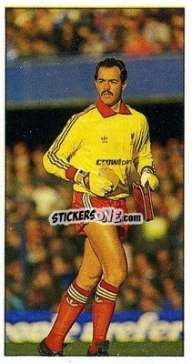 Sticker Bruce Grobbelaar - Football Candy Sticks 1987-1988
 n. 14 - Bassett & Co.
