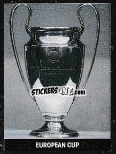 Figurina 1st Division Trophy - Soccer 1989-1990
 - THE SUN