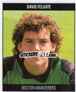 Sticker David Felgate - Football 1991
 - Orbis Publishing
