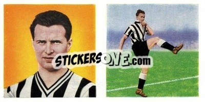 Sticker Len White - Footballers 1960
 n. 31 - Chix Confectionery