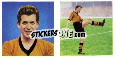 Sticker Peter Broadbent - Footballers 1960
 n. 17 - Chix Confectionery