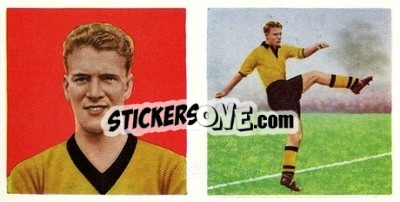 Sticker Ron Flowers - Footballers 1960
 n. 44 - Chix Confectionery