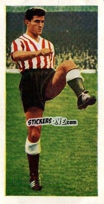 Sticker Charlie Hurley - Famous Footballers 1959-1960
 n. 19 - Chix Confectionery