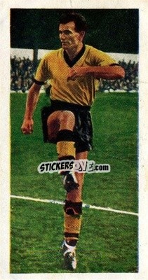Sticker Jimmy Murray - Famous Footballers 1959-1960
 n. 46 - Chix Confectionery