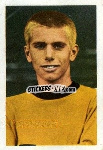 Sticker Alun Evans - The Wonderful World of Soccer Stars 1967-1968
 n. 321 - FKS