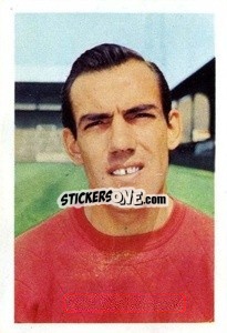 Sticker Anthony (Tony) Macedo - The Wonderful World of Soccer Stars 1967-1968
 - FKS