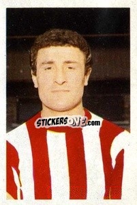 Sticker Charlie Hurley - The Wonderful World of Soccer Stars 1967-1968
 - FKS