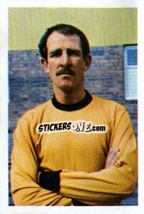 Sticker David Burnside - The Wonderful World of Soccer Stars 1967-1968
 - FKS