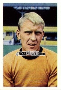 Figurina Graham Hawkins - The Wonderful World of Soccer Stars 1967-1968
 n. 323 - FKS