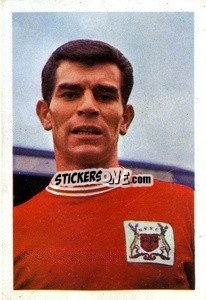 Sticker Henry Newton - The Wonderful World of Soccer Stars 1967-1968
 n. 192 - FKS