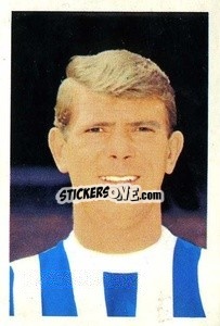 Sticker John Kaye - The Wonderful World of Soccer Stars 1967-1968
 - FKS