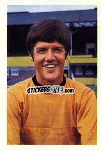 Sticker Peter Knowles - The Wonderful World of Soccer Stars 1967-1968
 - FKS