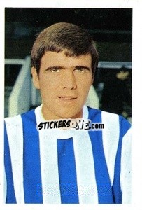 Sticker Robert (Bobby) Hope - The Wonderful World of Soccer Stars 1967-1968
 n. 295 - FKS