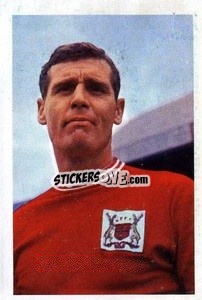 Sticker Robert McKinlay - The Wonderful World of Soccer Stars 1967-1968
 n. 190 - FKS