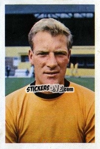 Cromo Ron Flowers - The Wonderful World of Soccer Stars 1967-1968
 - FKS