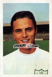 Sticker Steve Earle - The Wonderful World of Soccer Stars 1967-1968
 - FKS