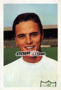Sticker Steve Earle - The Wonderful World of Soccer Stars 1967-1968
 n. 82 - FKS