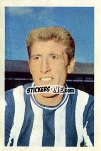 Sticker Wyn Davies - The Wonderful World of Soccer Stars 1967-1968
 - FKS