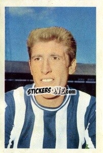 Sticker Wyn Davies - The Wonderful World of Soccer Stars 1967-1968
 n. 170 - FKS