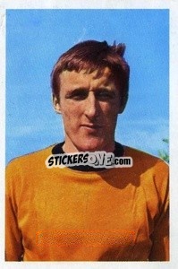 Figurina Derrick Parkin - The Wonderful World of Soccer Stars 1968-1969
 n. 324 - FKS