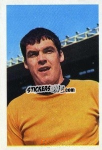 Cromo Frank Wignall - The Wonderful World of Soccer Stars 1968-1969
 n. 328 - FKS