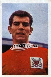 Sticker Henry Newton - The Wonderful World of Soccer Stars 1968-1969
 - FKS