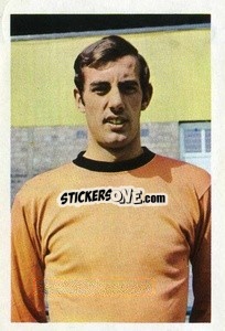 Sticker John Holsgrove - The Wonderful World of Soccer Stars 1968-1969
 - FKS