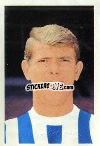 Sticker John Kaye - The Wonderful World of Soccer Stars 1968-1969
 n. 295 - FKS